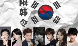 中韩最新猛八卦爆料视频,揭秘明星幕后真相与情感纠葛